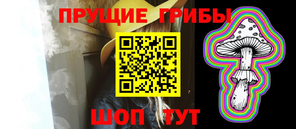 Реж  Галлюциногенные грибы прущие грибы  Галлюциногенные грибы мицелий  Вход с VPN 